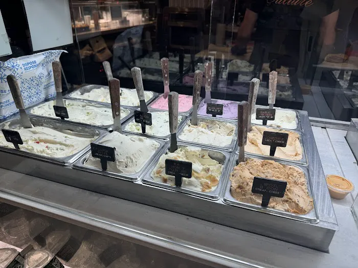 Bagel Market Picture 7