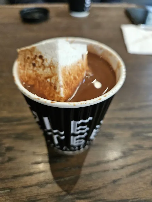 Ole and Steen Picture 2