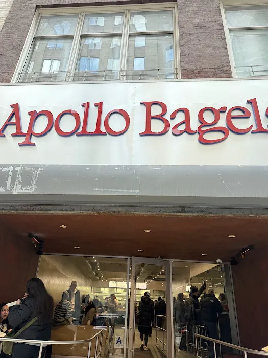 Apollo Bagels Picture 8