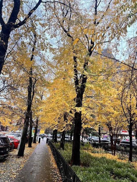 Madison Bagel & Grill Picture 7