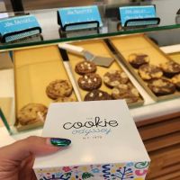 The Cookie Odyssey ico