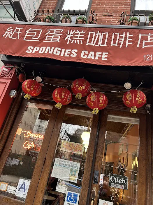 Spongies Cafe Picture 8