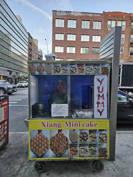 Xiang Mini Cake Picture 5