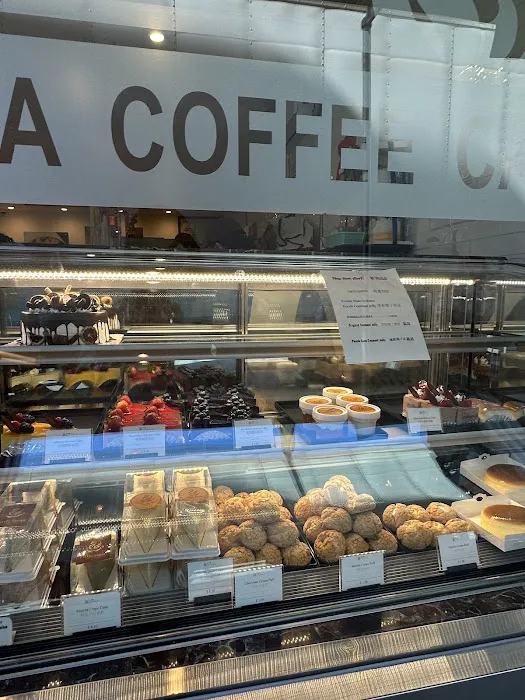 White Swan Picture 10