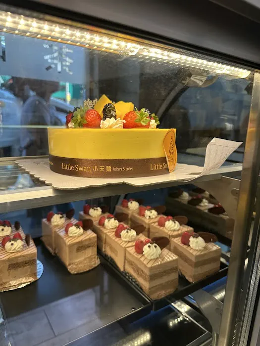 White Swan Picture 9