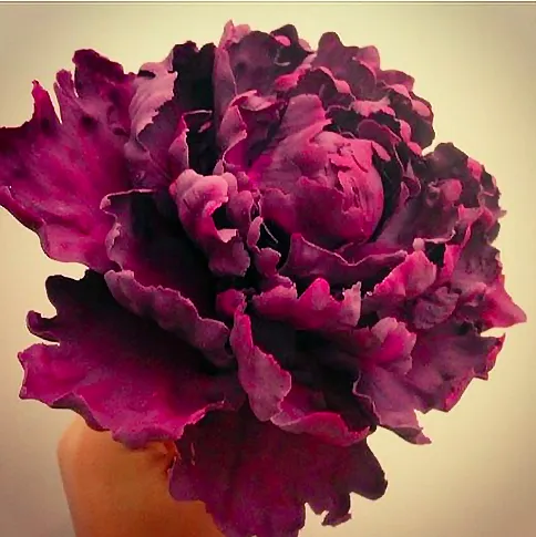 City Sweets & Confections Picture 2