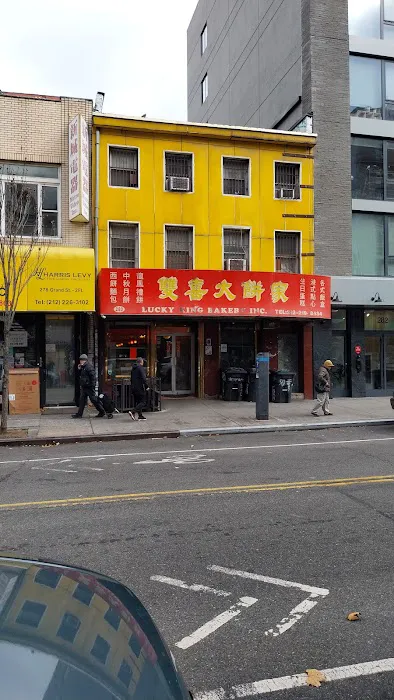 Lucky King Picture 6