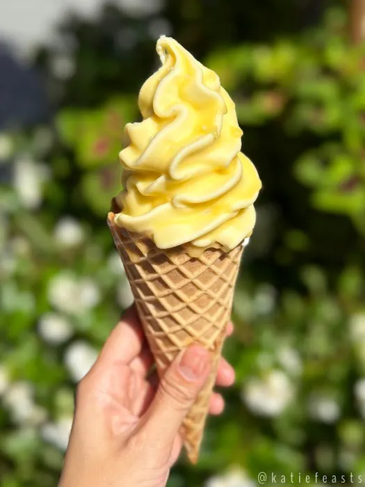 Papa d’Amour Picture 3