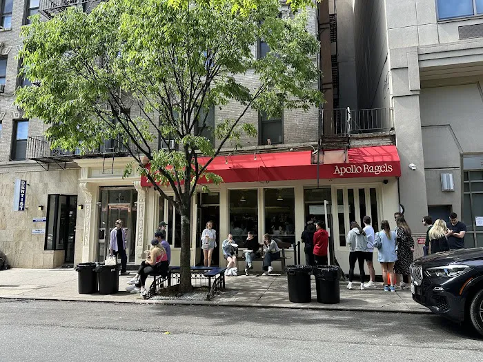 Apollo Bagels Picture 10