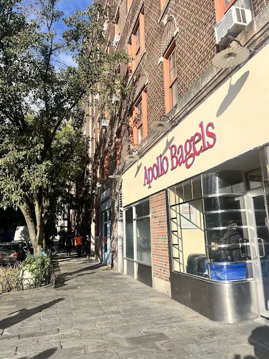 Apollo Bagels Picture 2