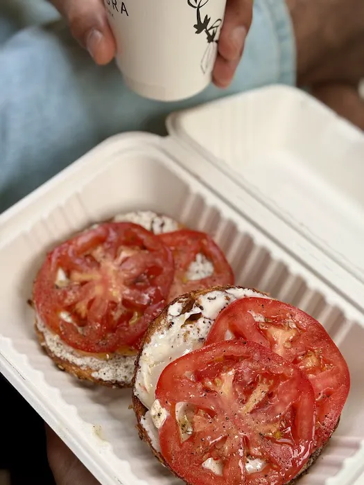 Apollo Bagels Picture 5