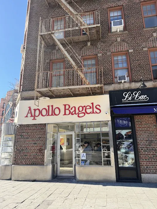 Apollo Bagels Picture 7