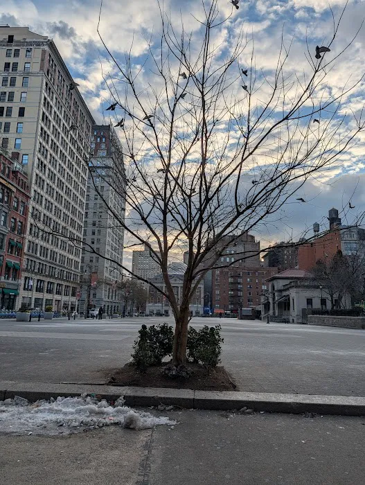 Hawthorne Valley Farm/Bakery - Union Square Picture 2