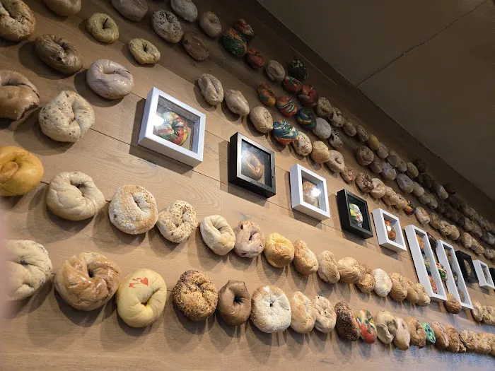 Bagel Belly Picture 8