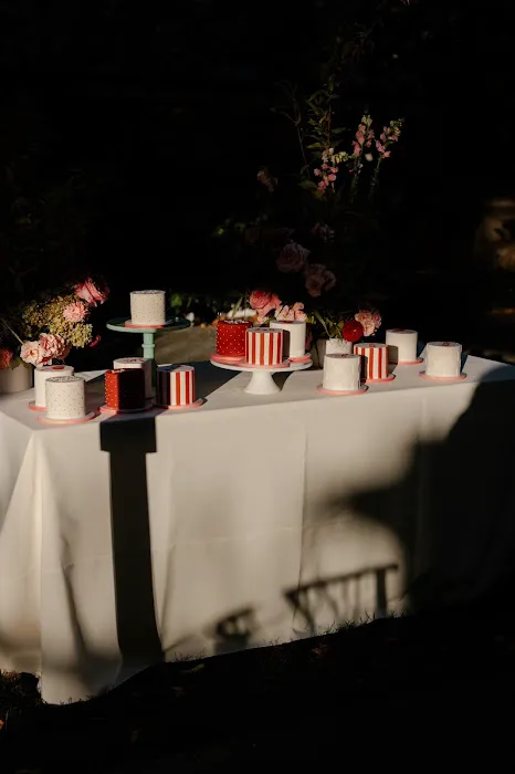 Daniel Colonel Picture 6