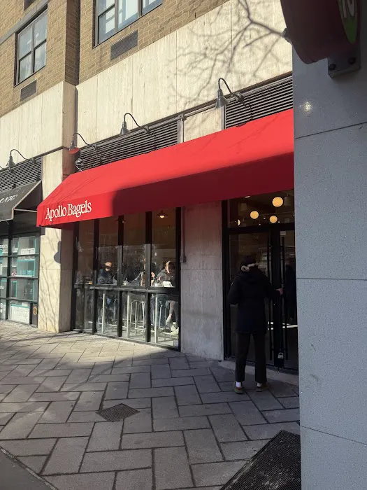 Apollo Bagels Picture 5
