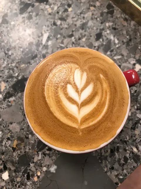 Bourke Street Bakery Picture 8