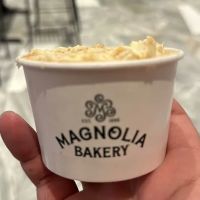 Magnolia Bakery ico