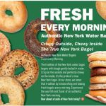 Daily Bagel