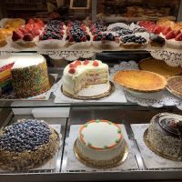 William Greenberg ico