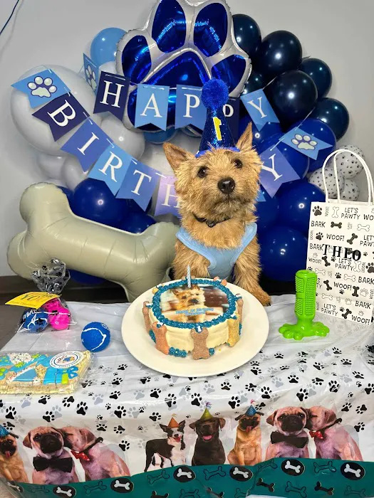 Dog Cakes for Dogs Picture 3