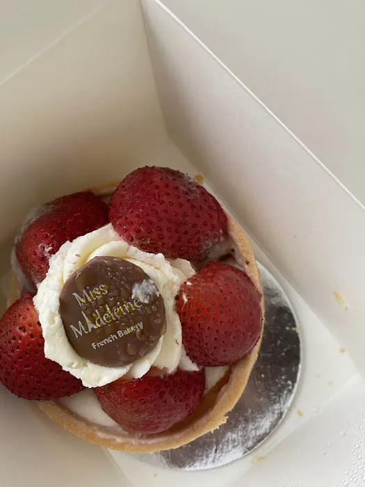 Miss Madeleine Picture 1