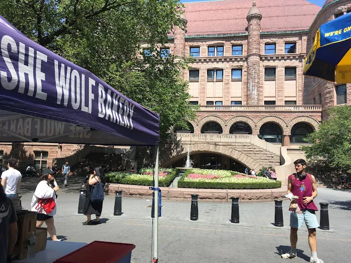 She Wolf Bakery - 79th Street Picture 3