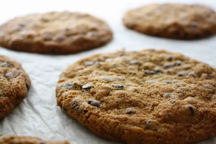 La Tropezienne Bakery Picture 5