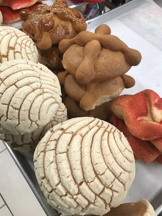 Mi Querido Mexico Lindo Picture 5