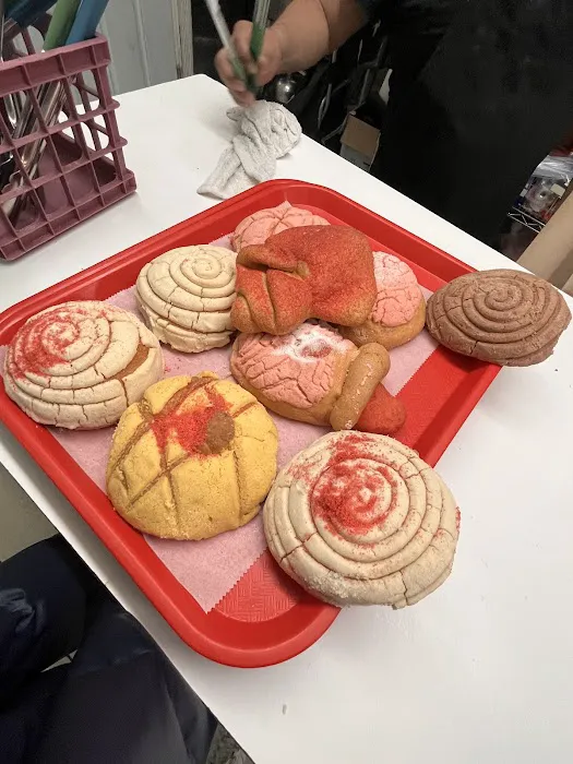 Mi Querido Mexico Lindo Picture 6