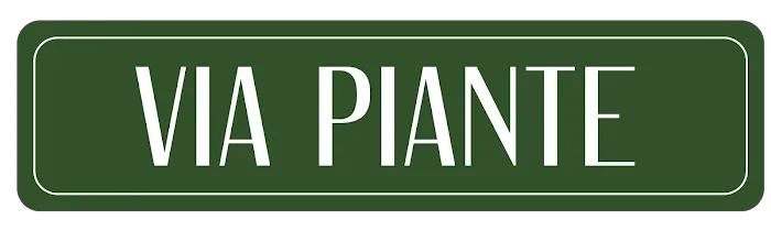 Via Piante Picture 1
