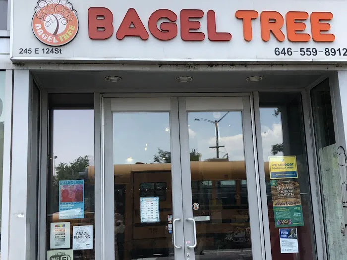 Bagel Tree Picture 4