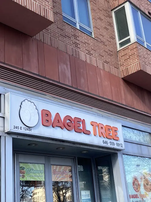 Bagel Tree Picture 7