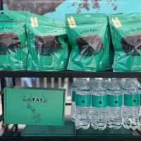 the little FAT girl ico