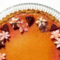 STYLE + SUSTENANCE ico