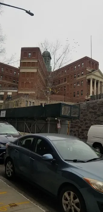 Concourse Jamaican Bakery Picture 9