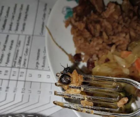 Concourse Jamaican Bakery