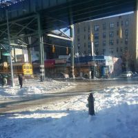 1484 Avenue Bakery Corporation ico