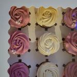 Jillian Scrumptious Treats