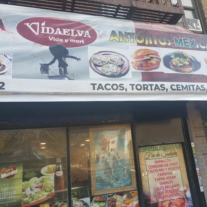 Vida Elva Corp Picture 5