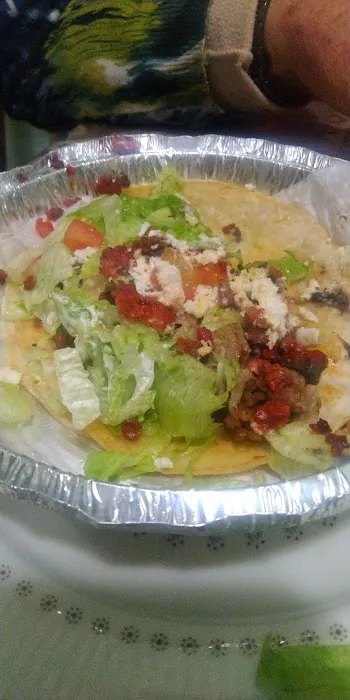 Vida Elva Corp Picture 3