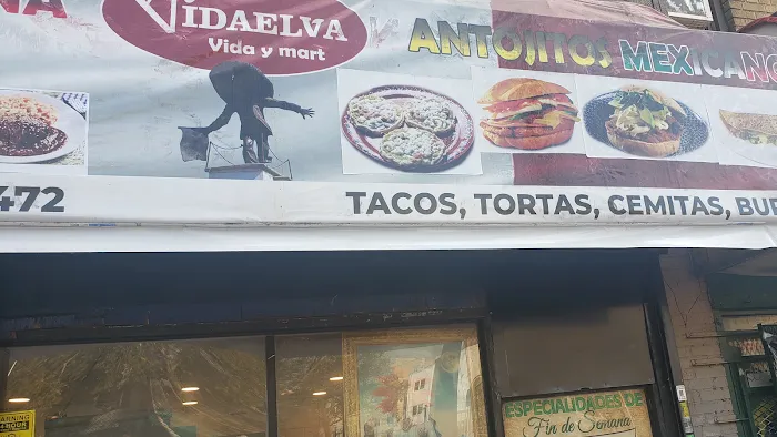 Vida Elva Corp Picture 4