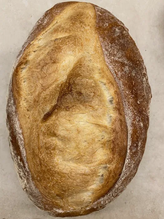 Solina Bakery Inc Picture 1