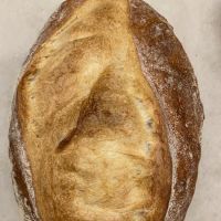 Solina Bakery Inc ico