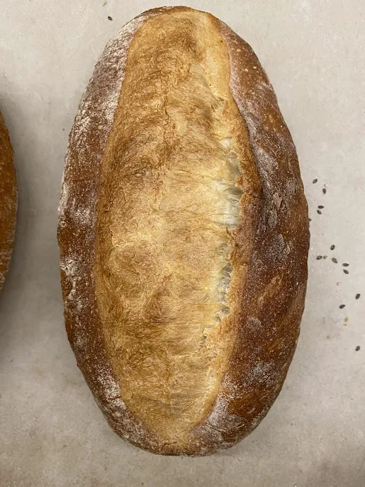 Solina Bakery Inc Picture 2