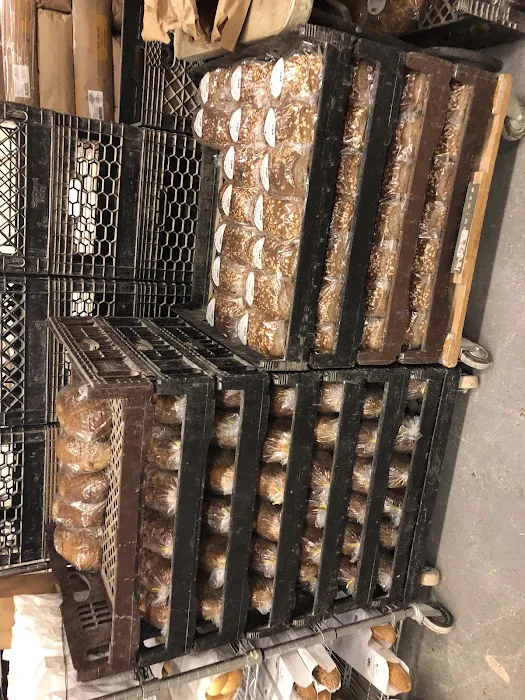 Solina Bakery Inc Picture 7