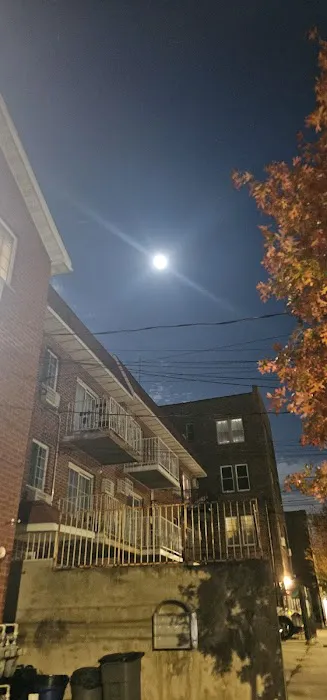 Moses Bagels & More Picture 2