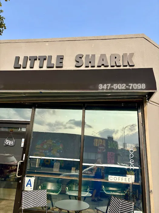 LITTLE SHARK Picture 6