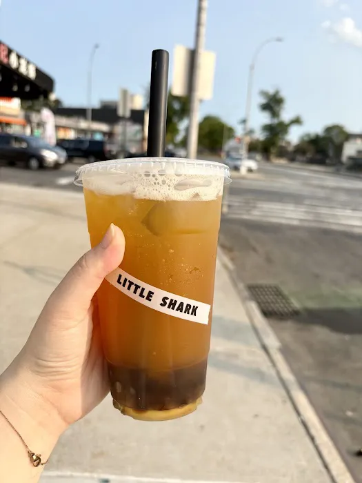 LITTLE SHARK Picture 8