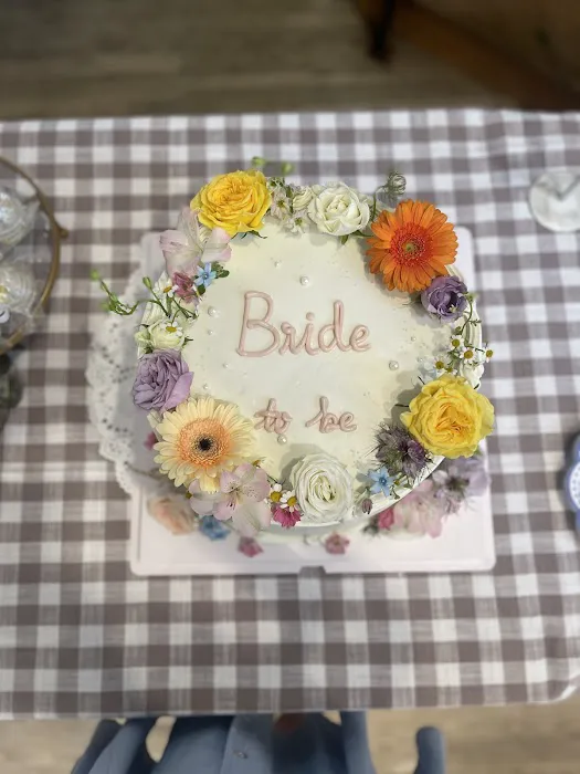 LITTLE SHARK Picture 2